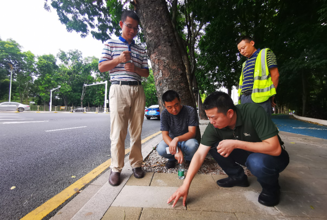 工程技术中心考察“深圳首条智慧道路——侨香路”