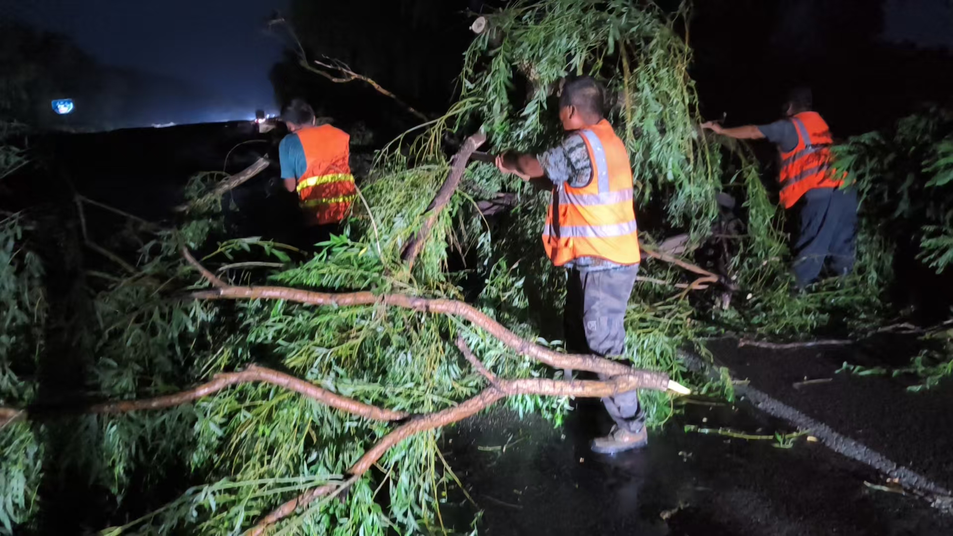 风狂雨骤断木横 鏖战雨夜保畅安 ——好通公司组织力量全力完成国道防汛抢险任务